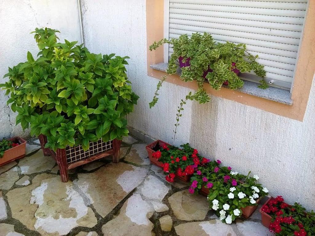 Apartment Mostar Exteriör bild